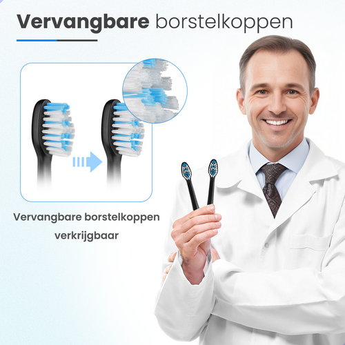 4 Opzetborstels voor AG350