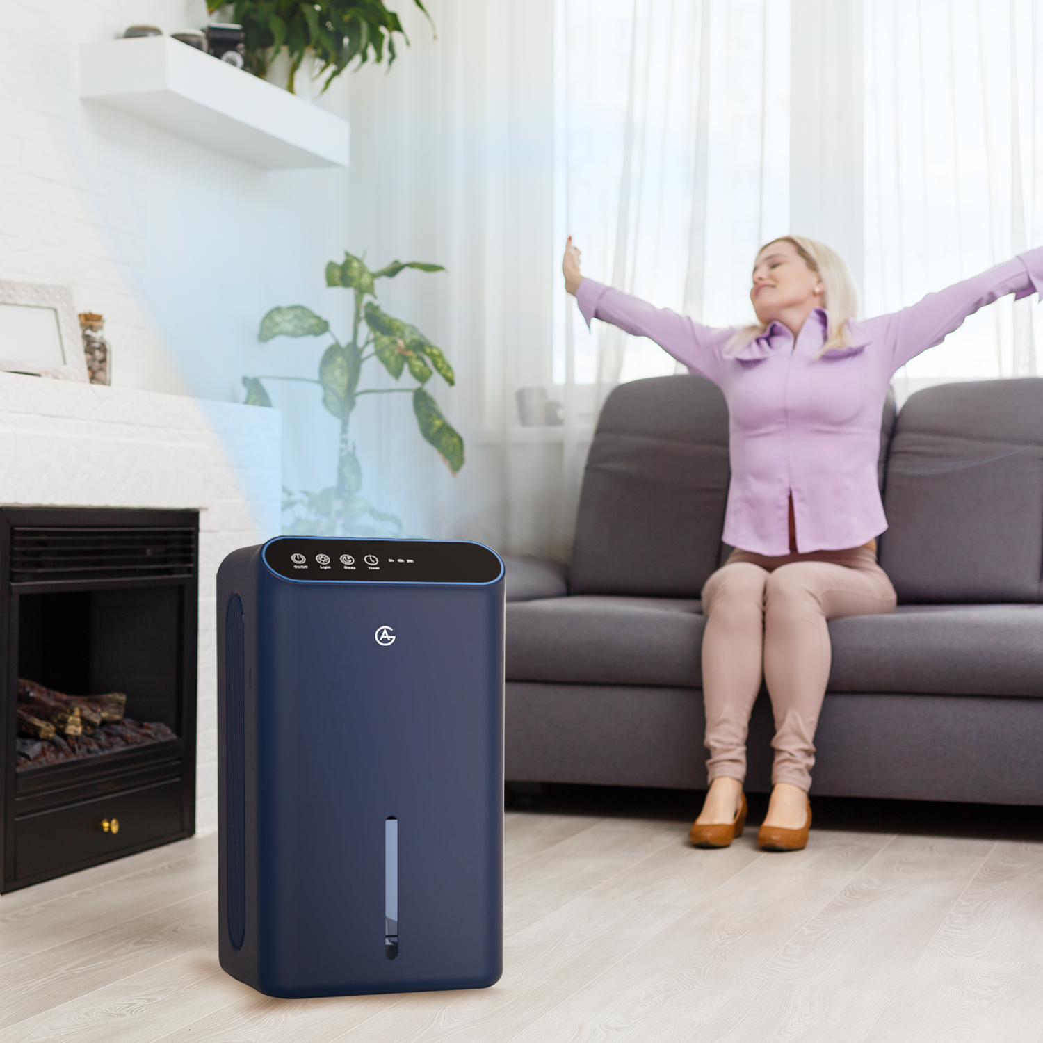 AG luchtontvochtiger